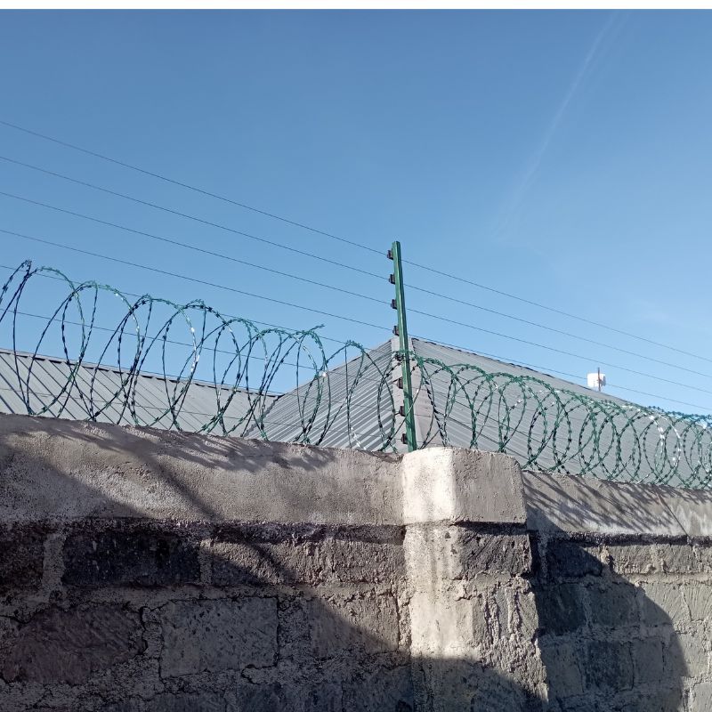 buy electric fence with green razor wire