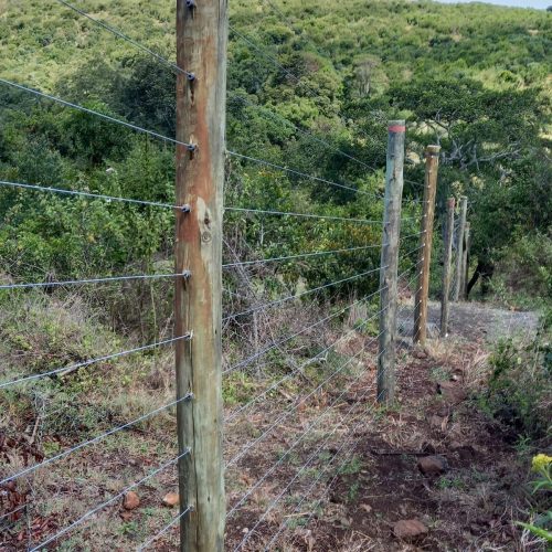 farm fences in Kenya