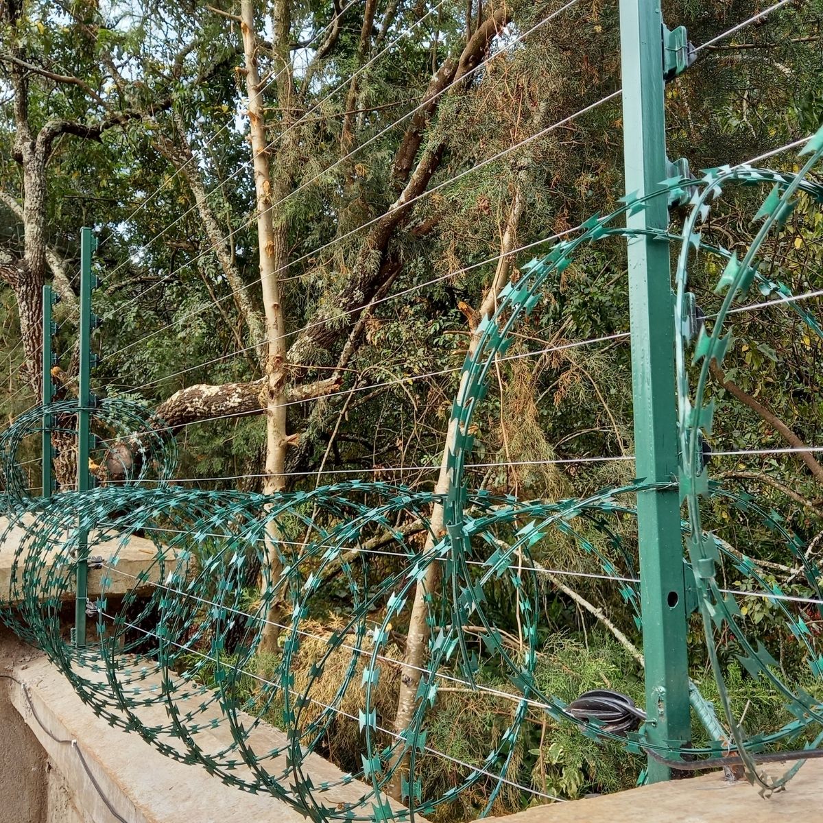 top wall electric fences with razor wire in Kenya