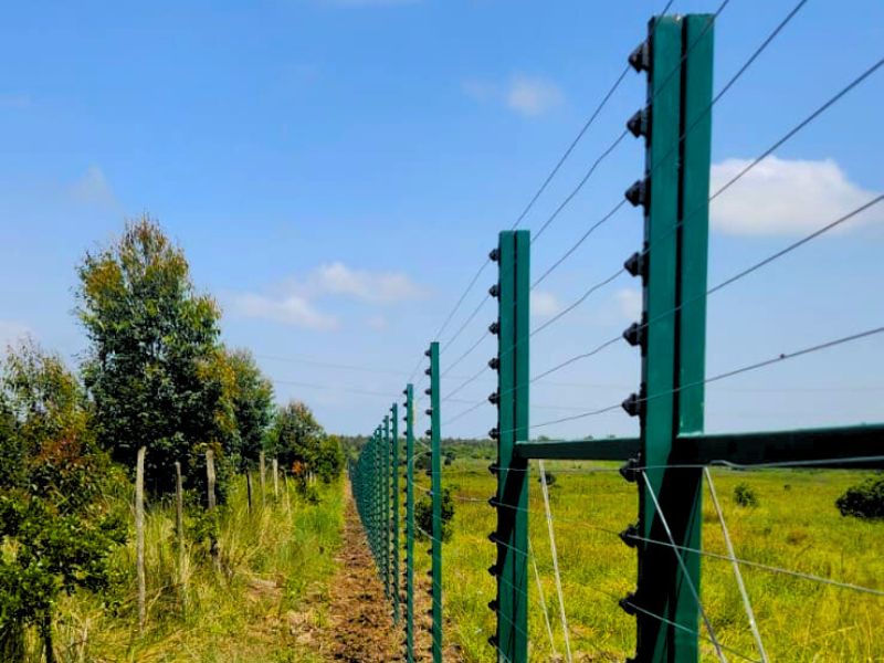 steel post fence in Kenya