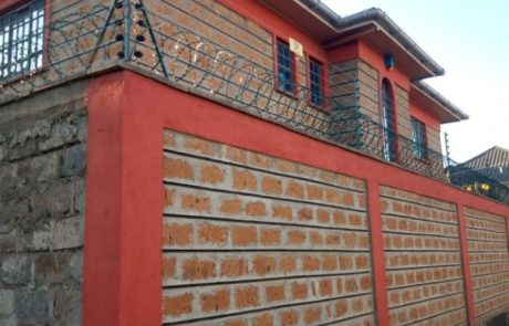 best top wall electric fences in Kenya