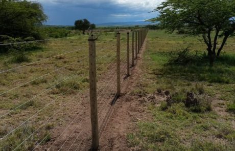 farm electric fences in Kenya