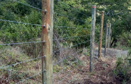 farm fences in Kenya