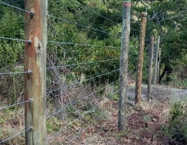 solar powered farm fences in Kenya