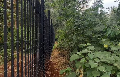 Electric Fence Repairs and Maintenance