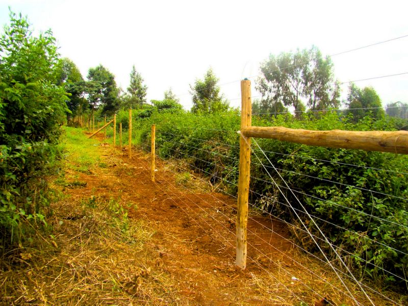 long and short farm electric fence