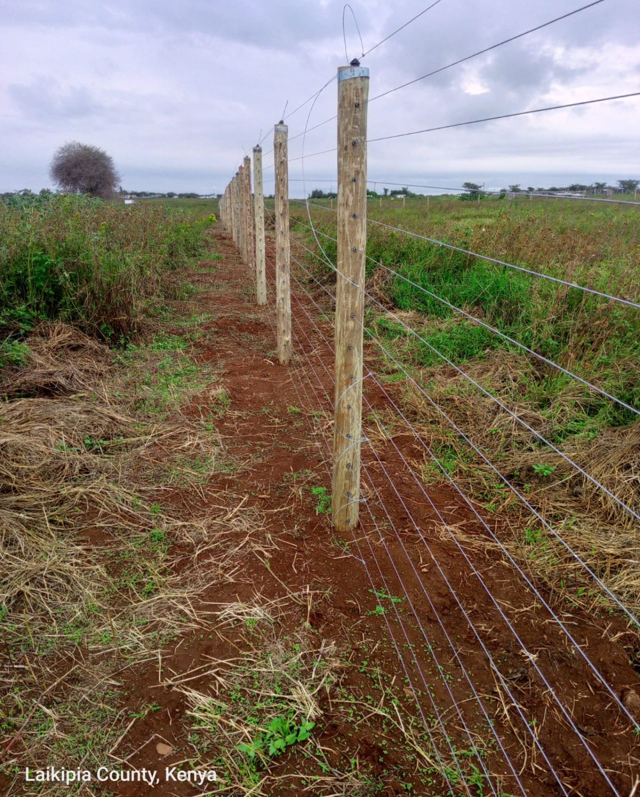 best fencing solution for farms in Kenya