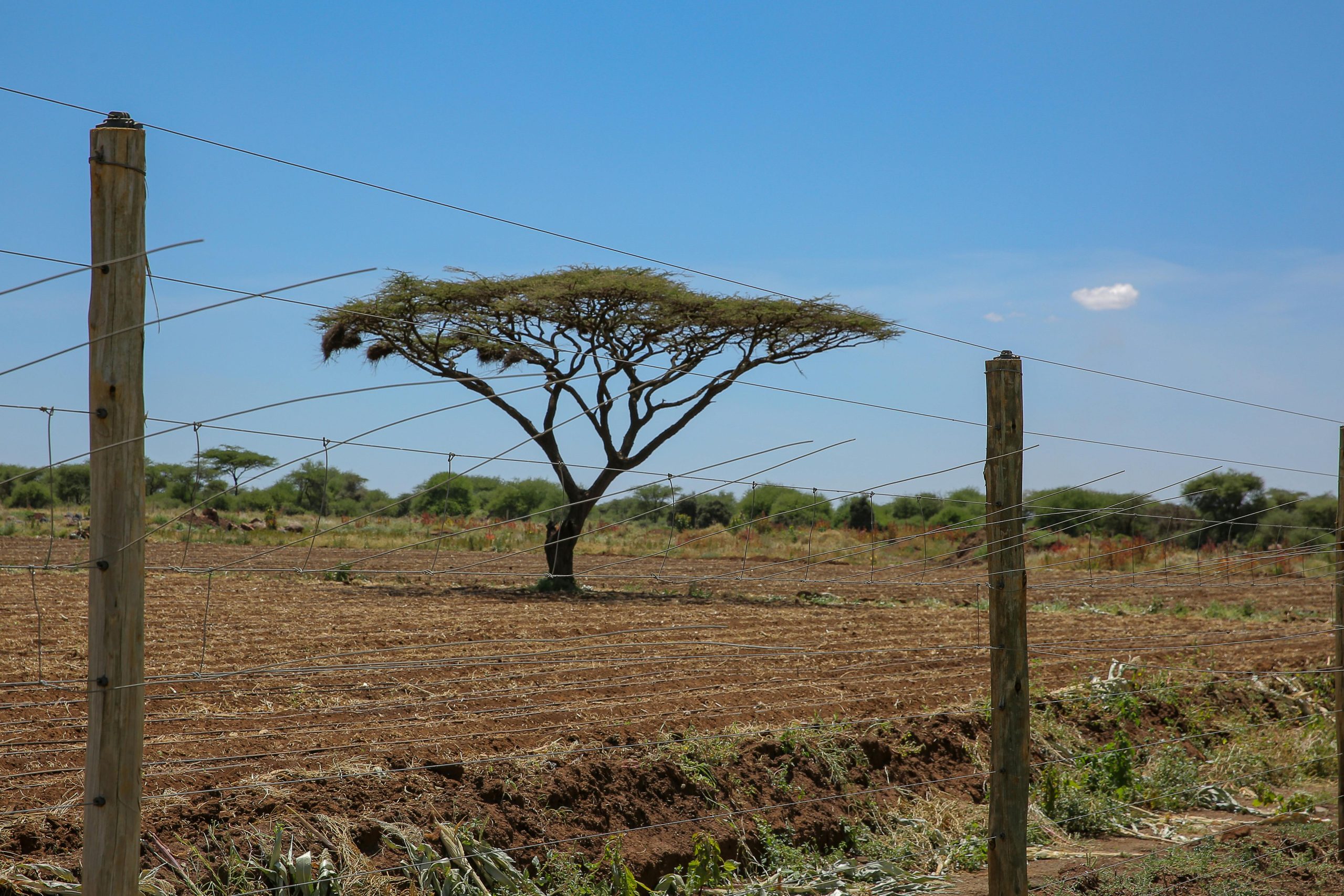 Electric Fencing Solutions in Nanyuki