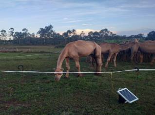 Portable Electric Fencing Solutions in Kenya