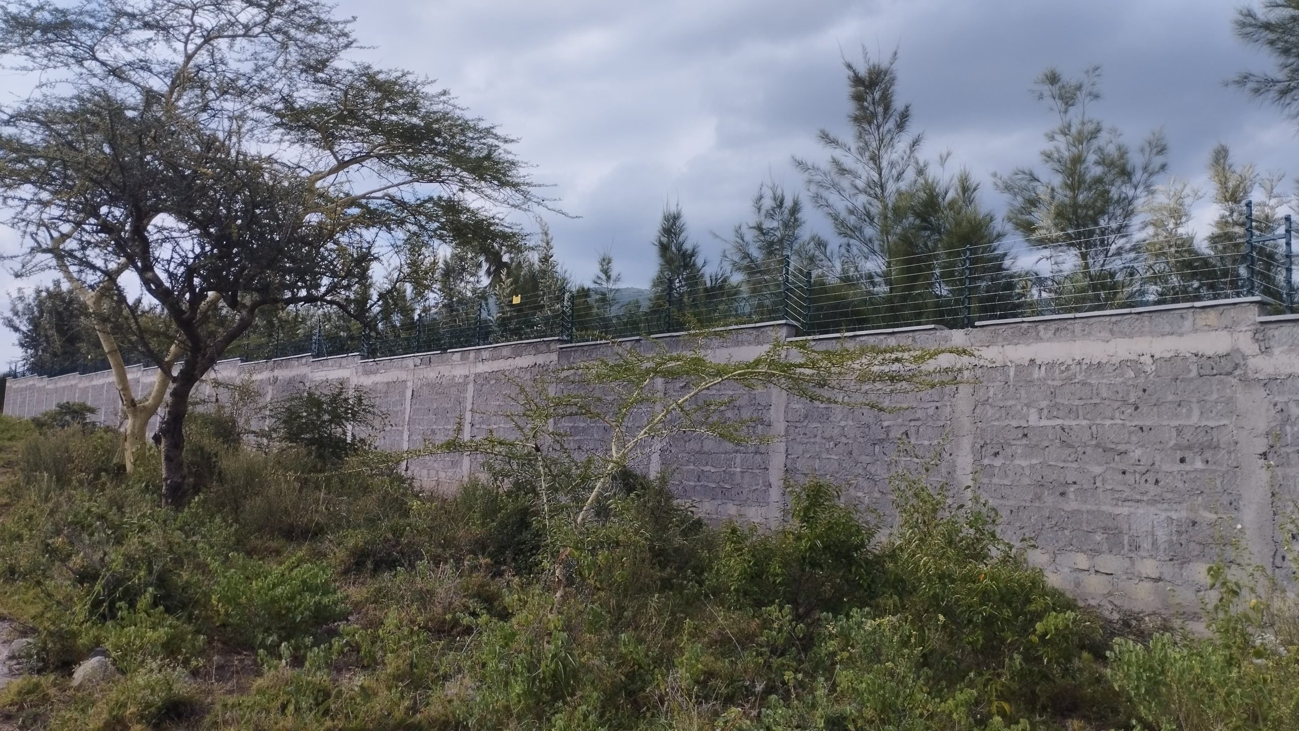 are you looking for an Razor Wire Installer in Nairobi