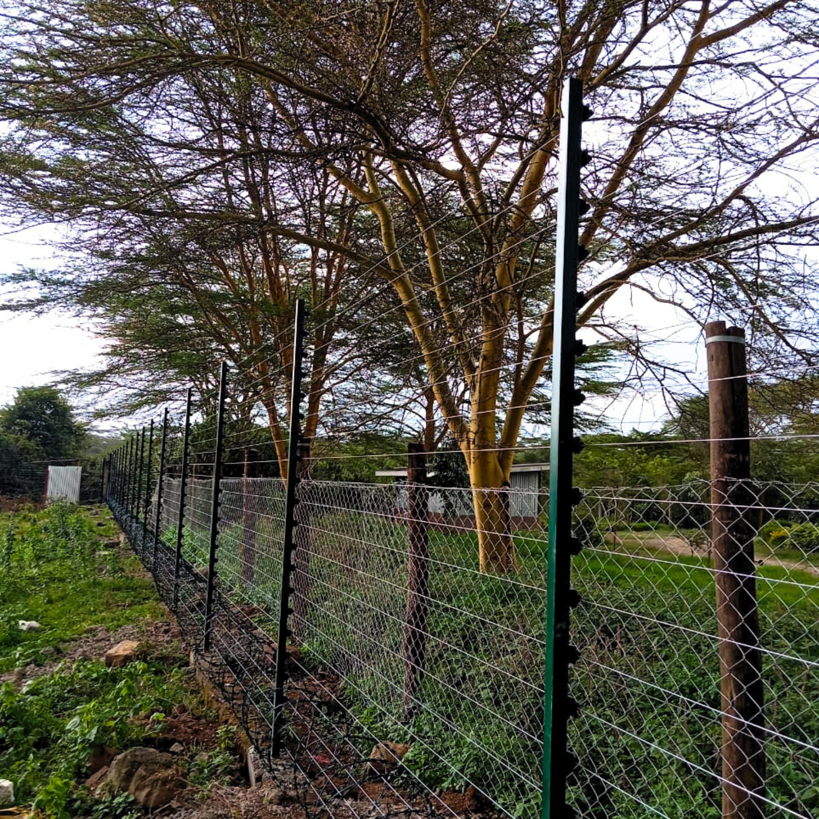 buy quality electric fencing materials in kenya - 0722 708034