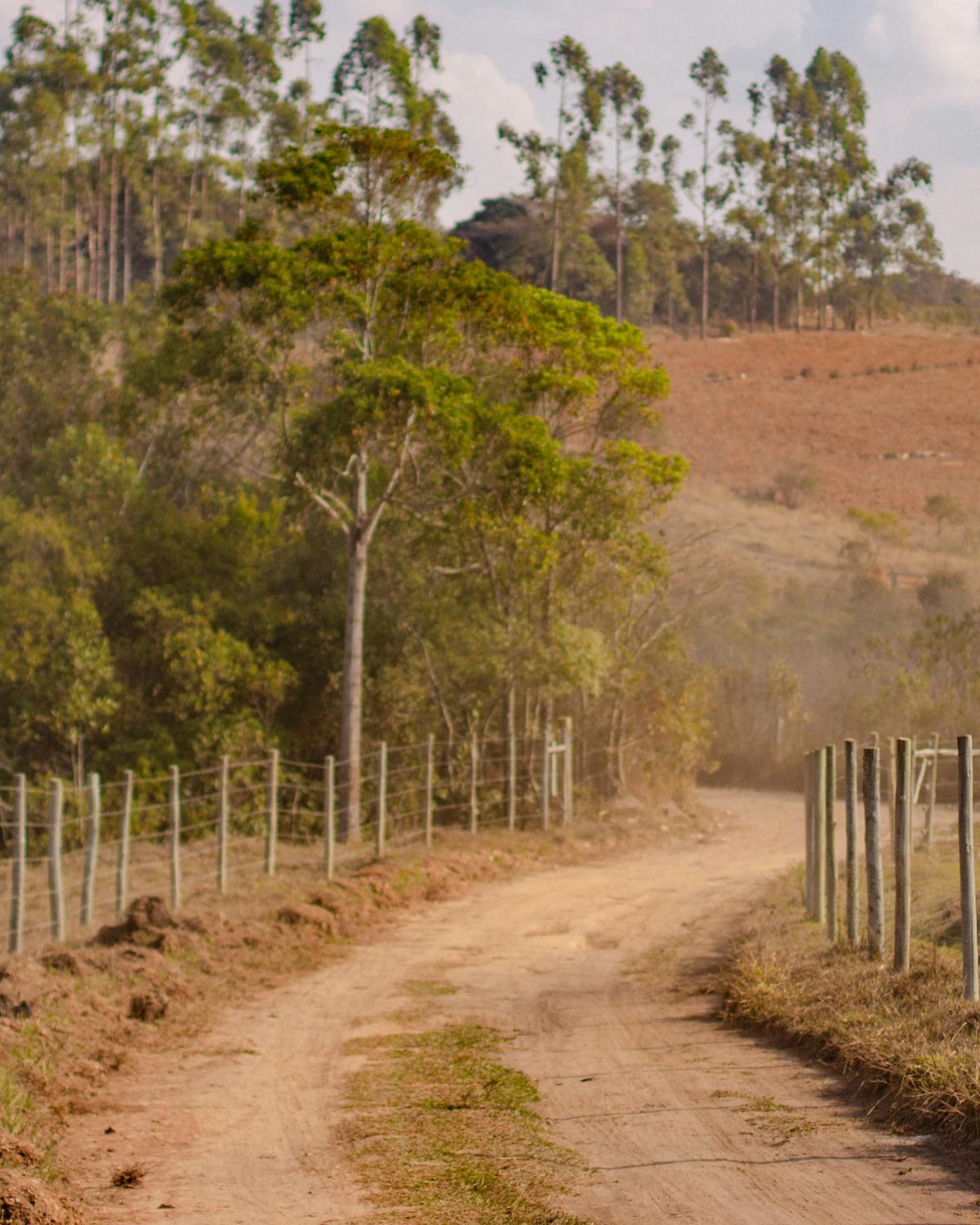 Why Public Participation Is Required Before Installing Electric Fences Near Communities, Wildlife Habitats, and Migration Routes in Kenya